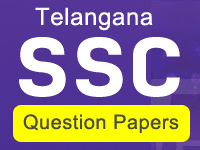 TS SSC Telugu 2025 QP